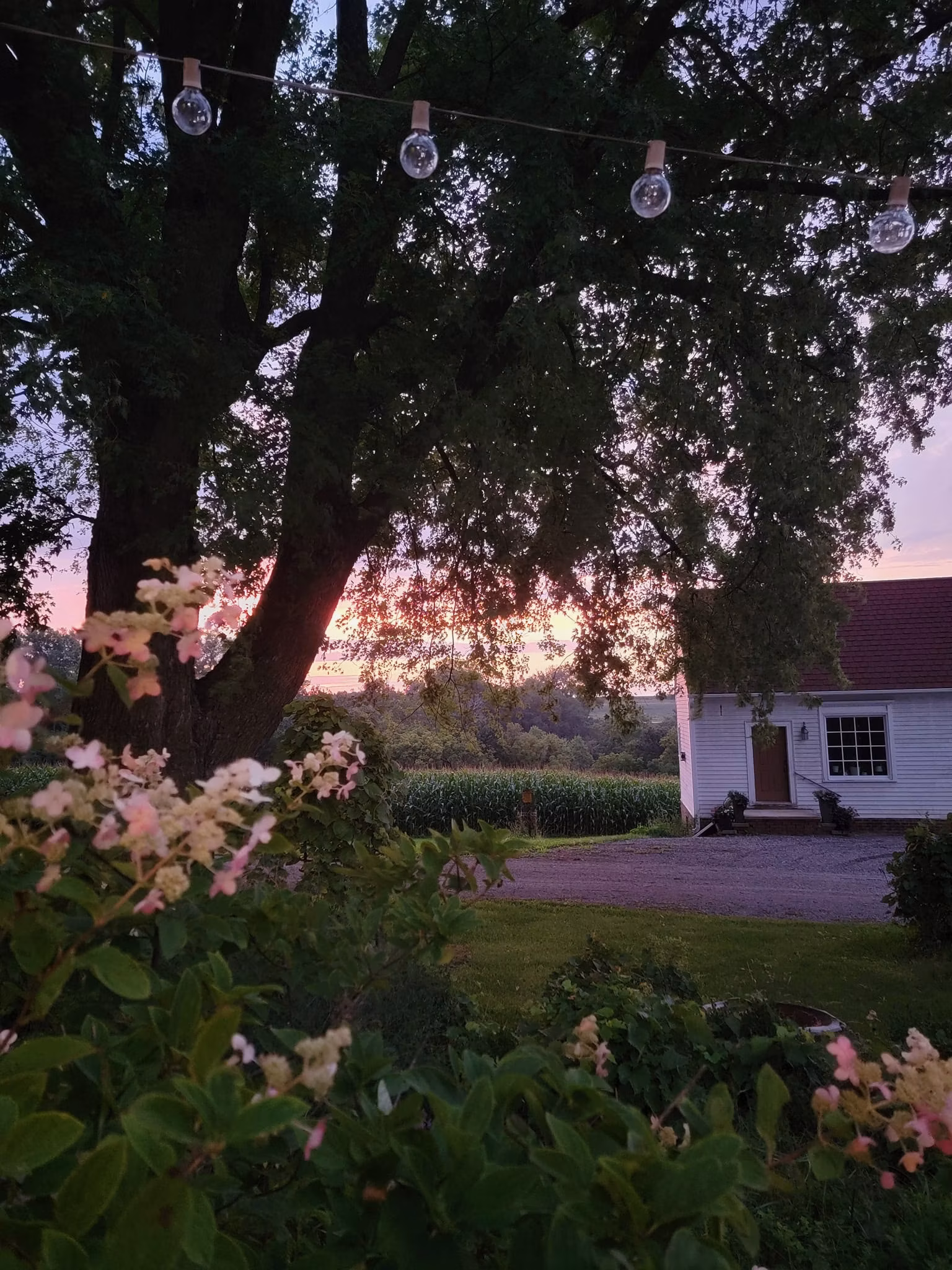 The Big Raven Farm farmhouse at sunset with string lights